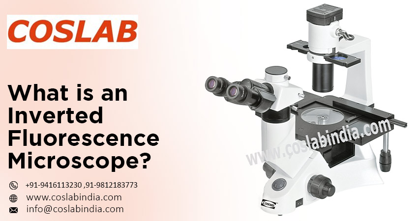 Inverted Fluorescence Microscope Manufacturers