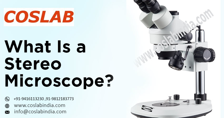 Stereo Microscope Manufacturers