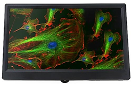 Universal Microscope Infinity Optical System